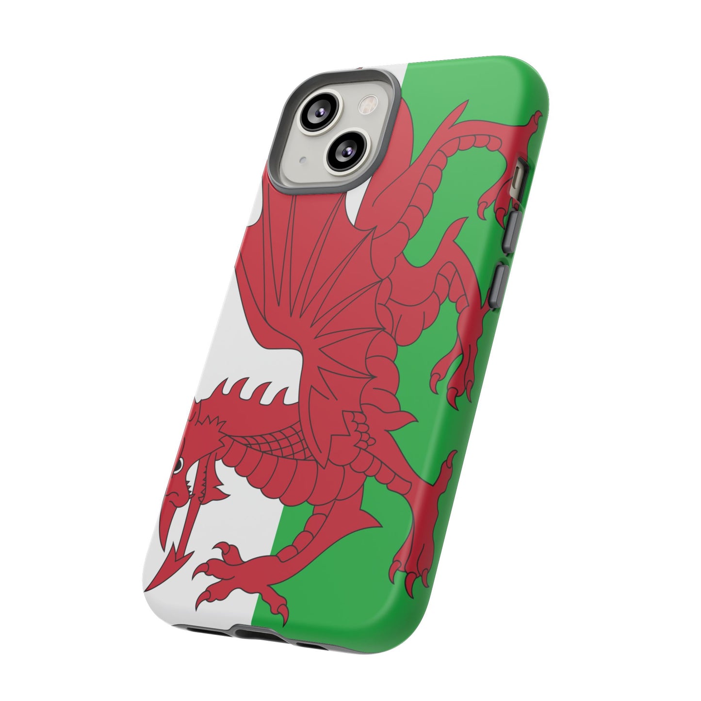 Wales Flag Case