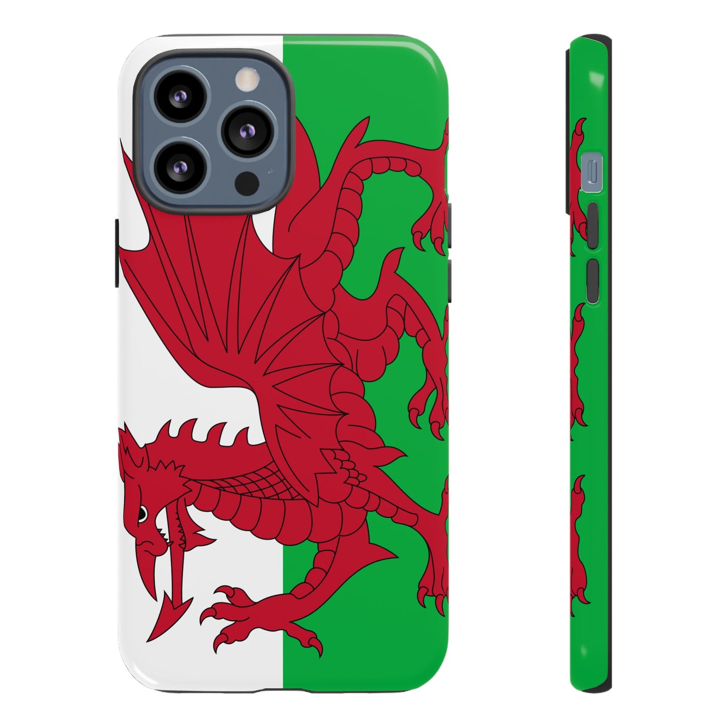 Wales Flag Case