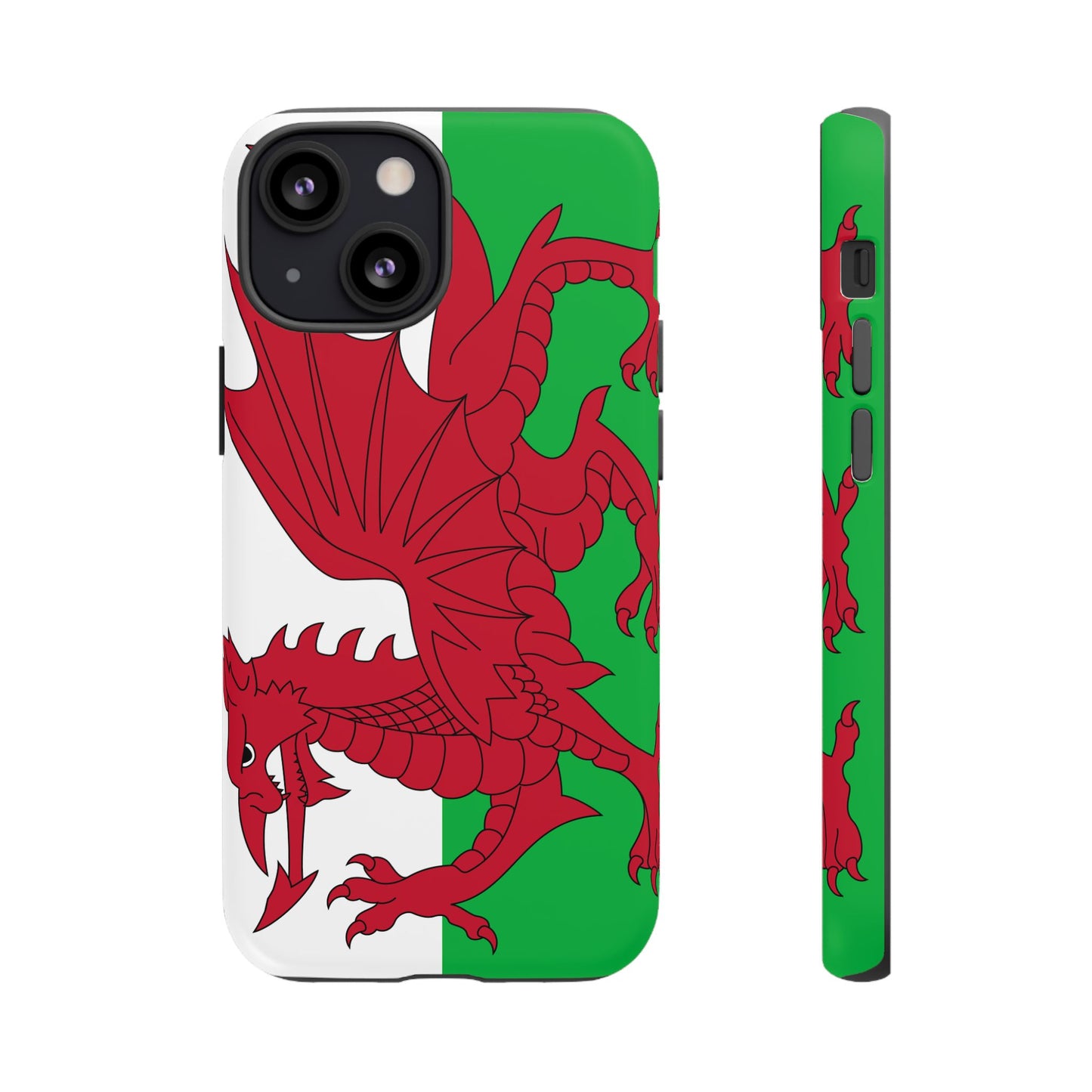 Wales Flag Case