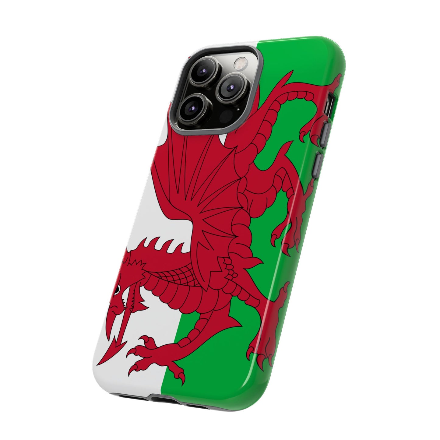 Wales Flag Case