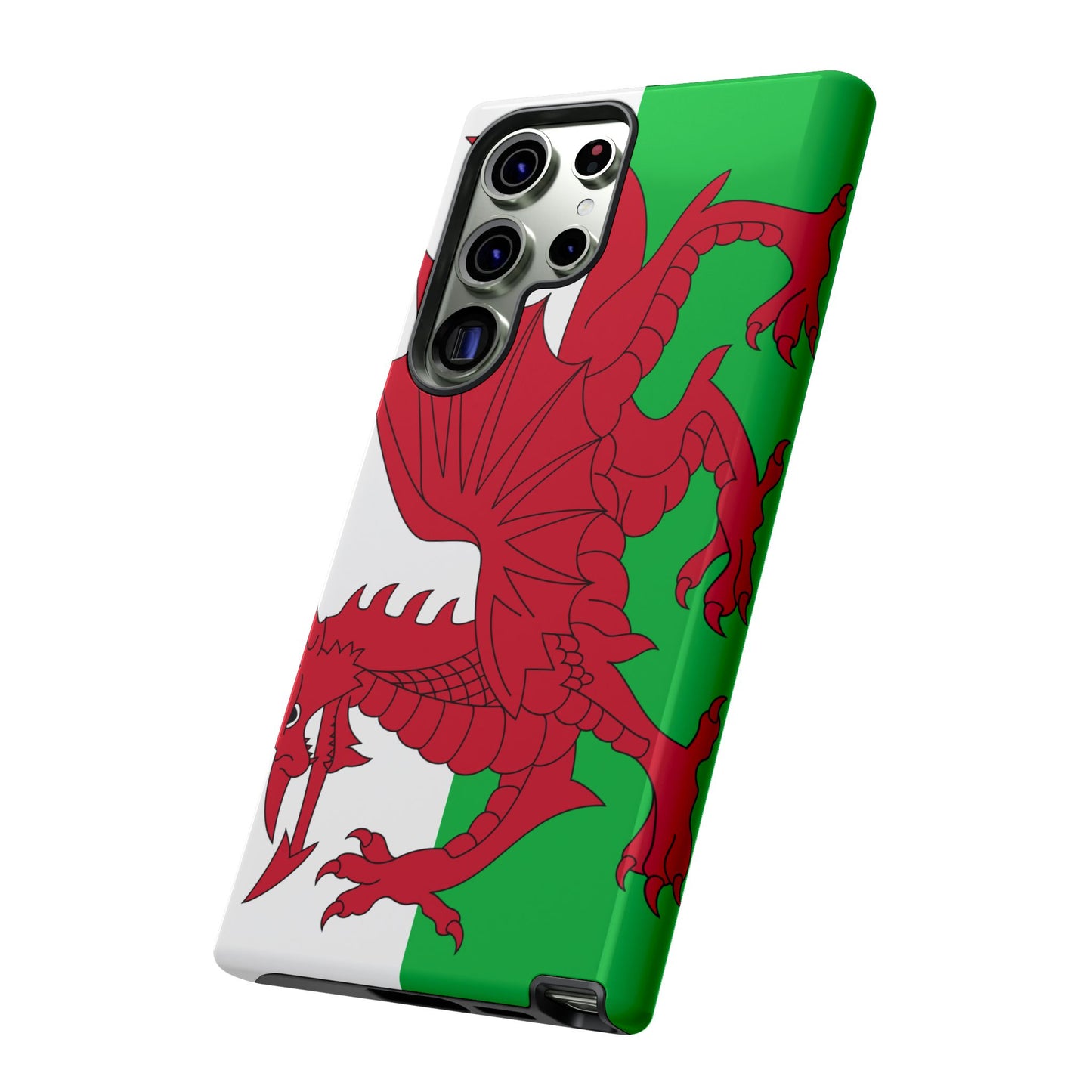 Wales Flag Case