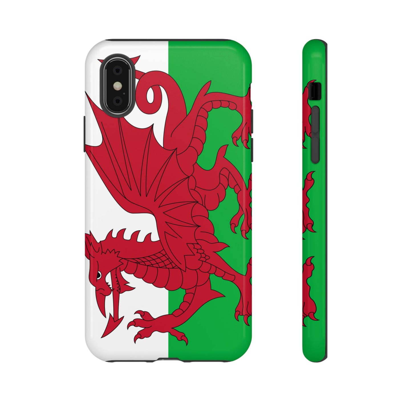 Wales Flag Case