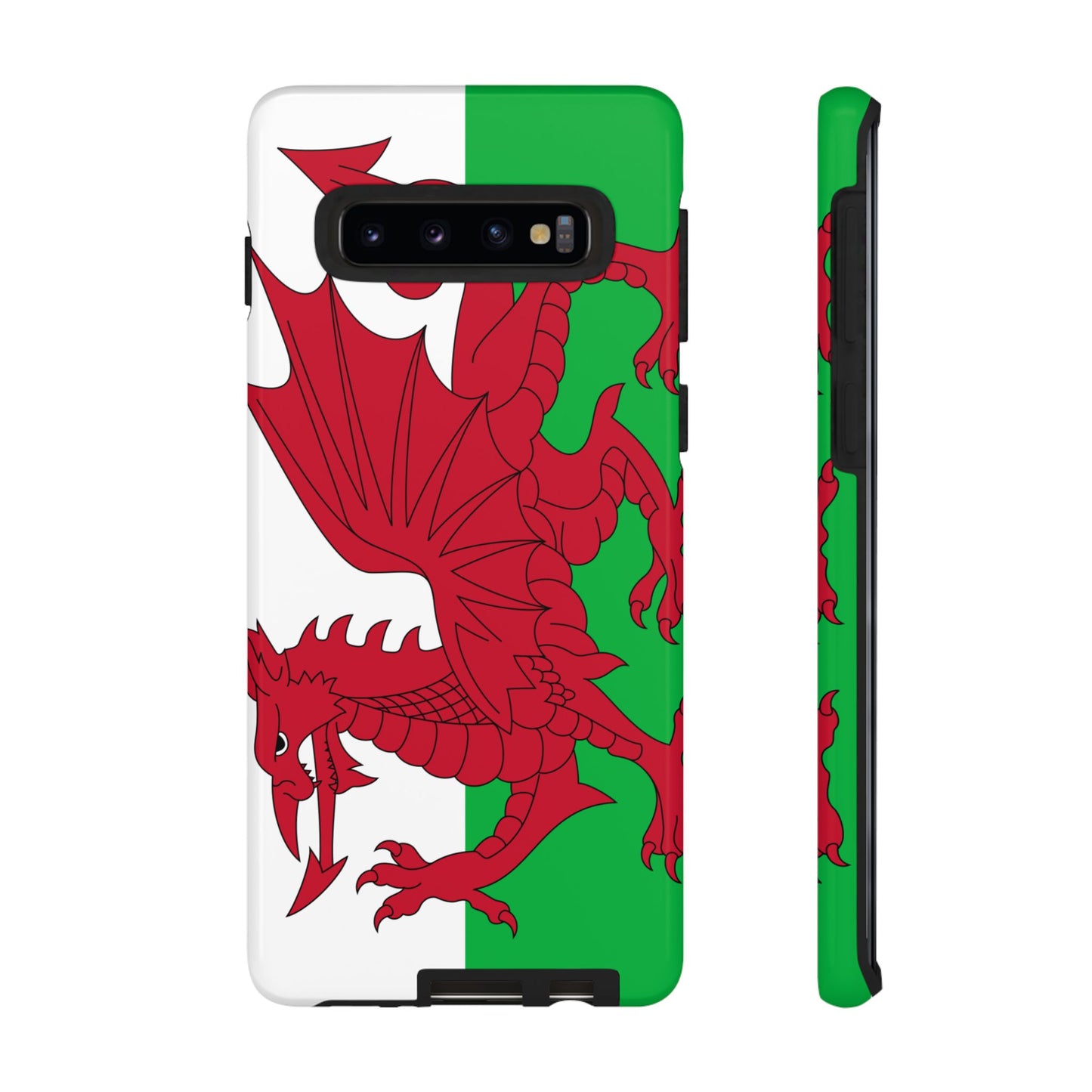 Wales Flag Case