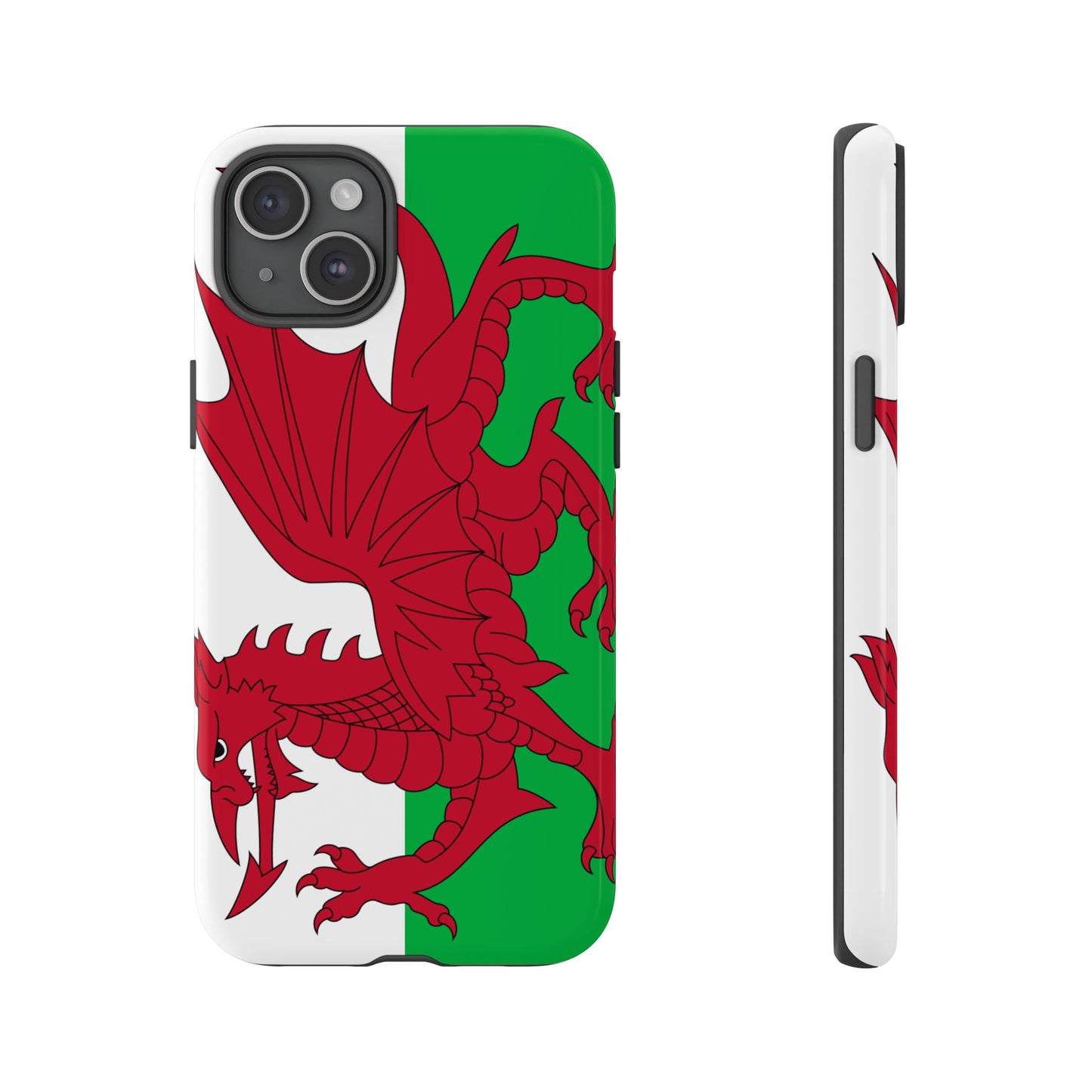 Wales Flag Case