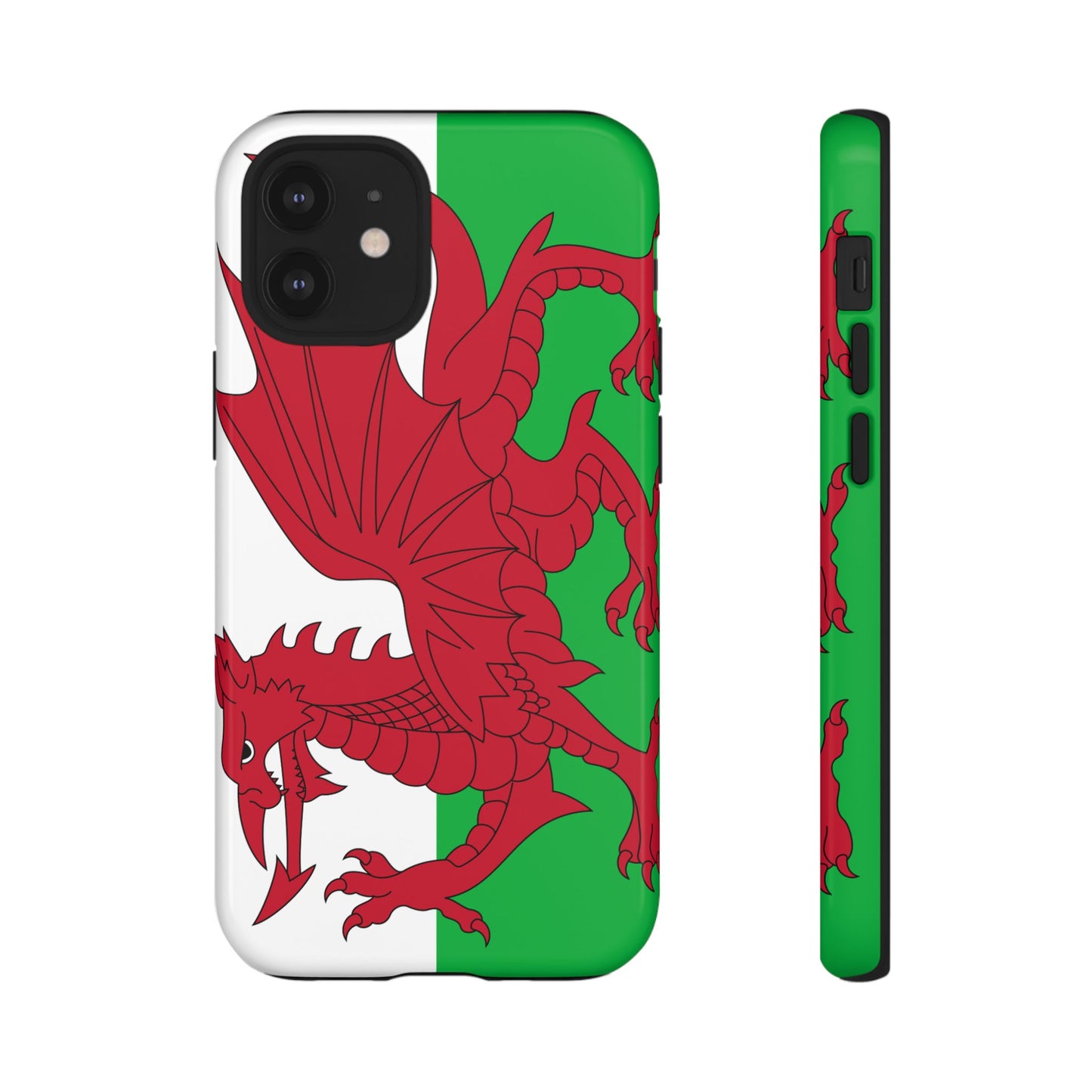 Wales Flag Case