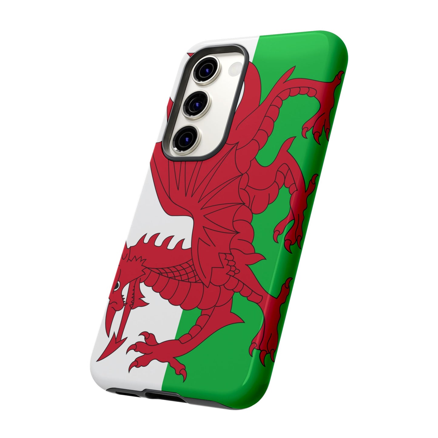 Wales Flag Case