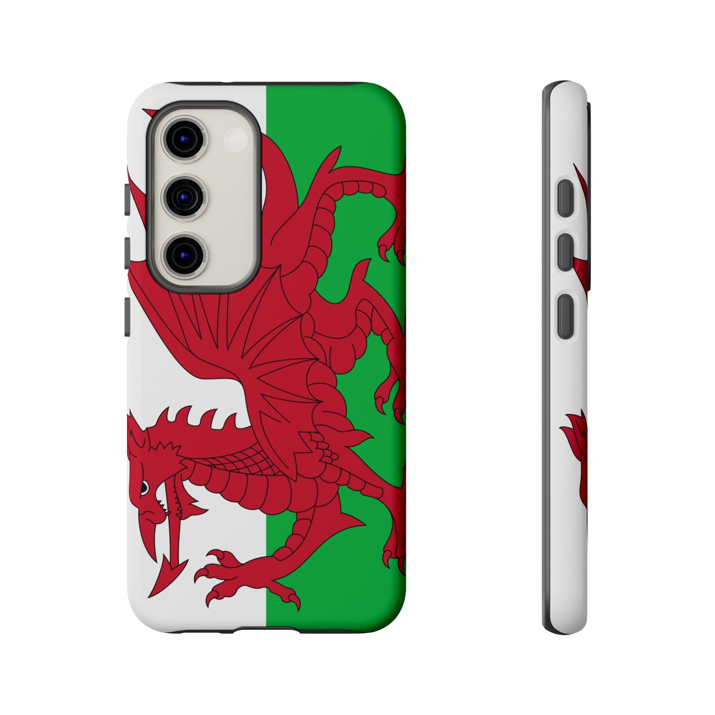 Wales Flag Case