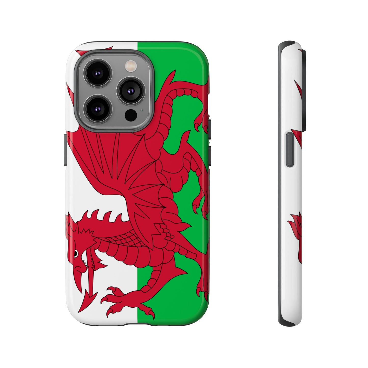 Wales Flag Case
