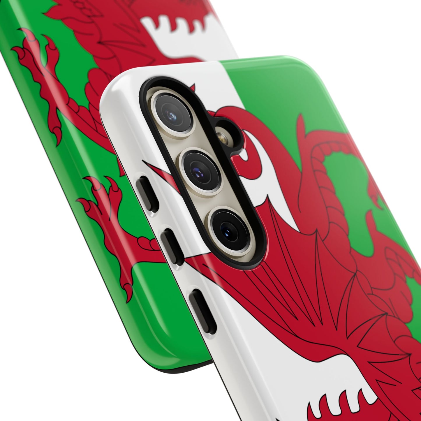 Wales Flag Case