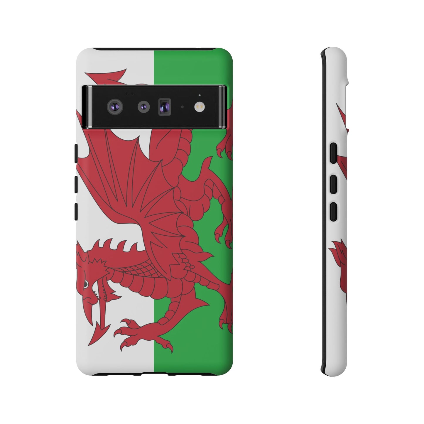 Wales Flag Case