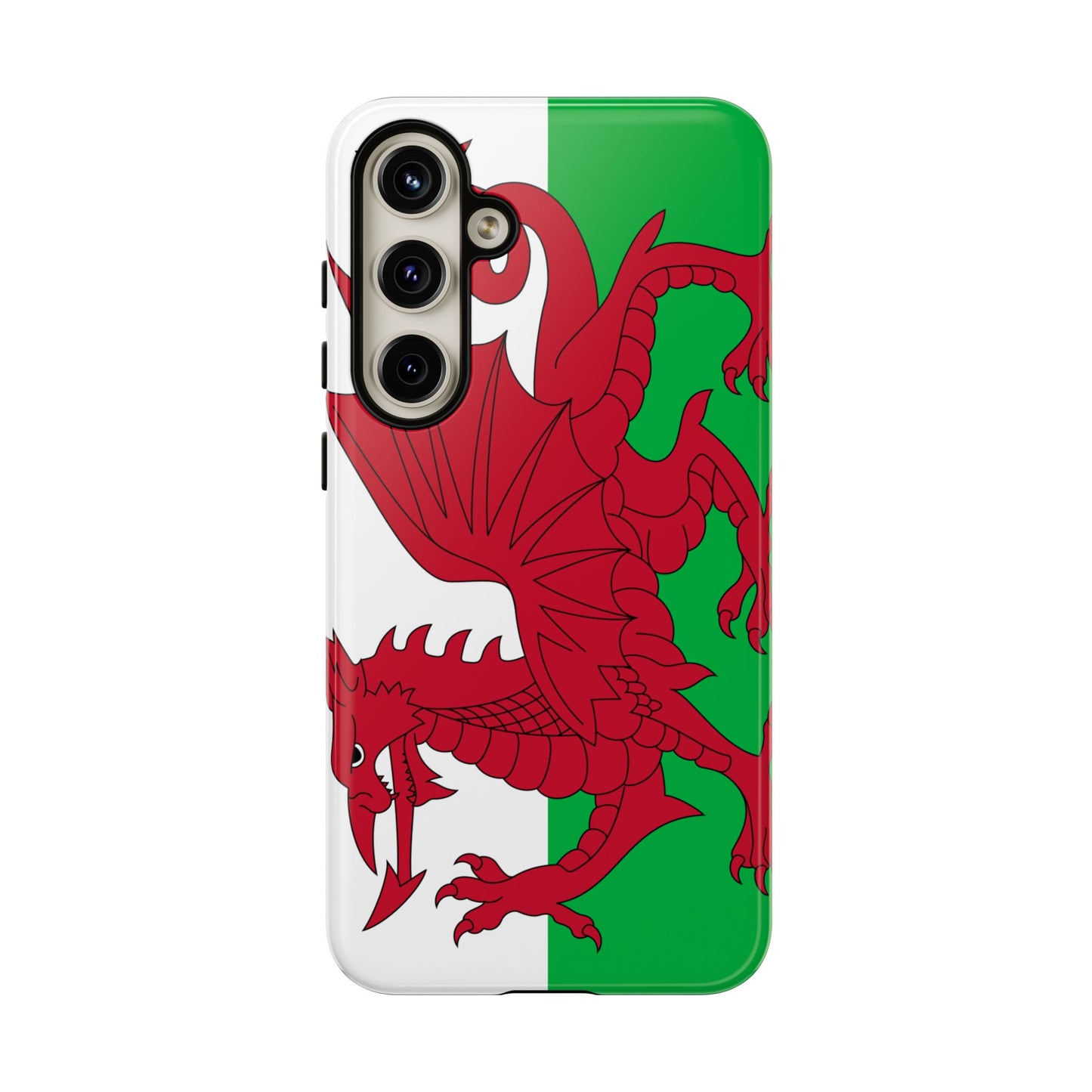 Wales Flag Case