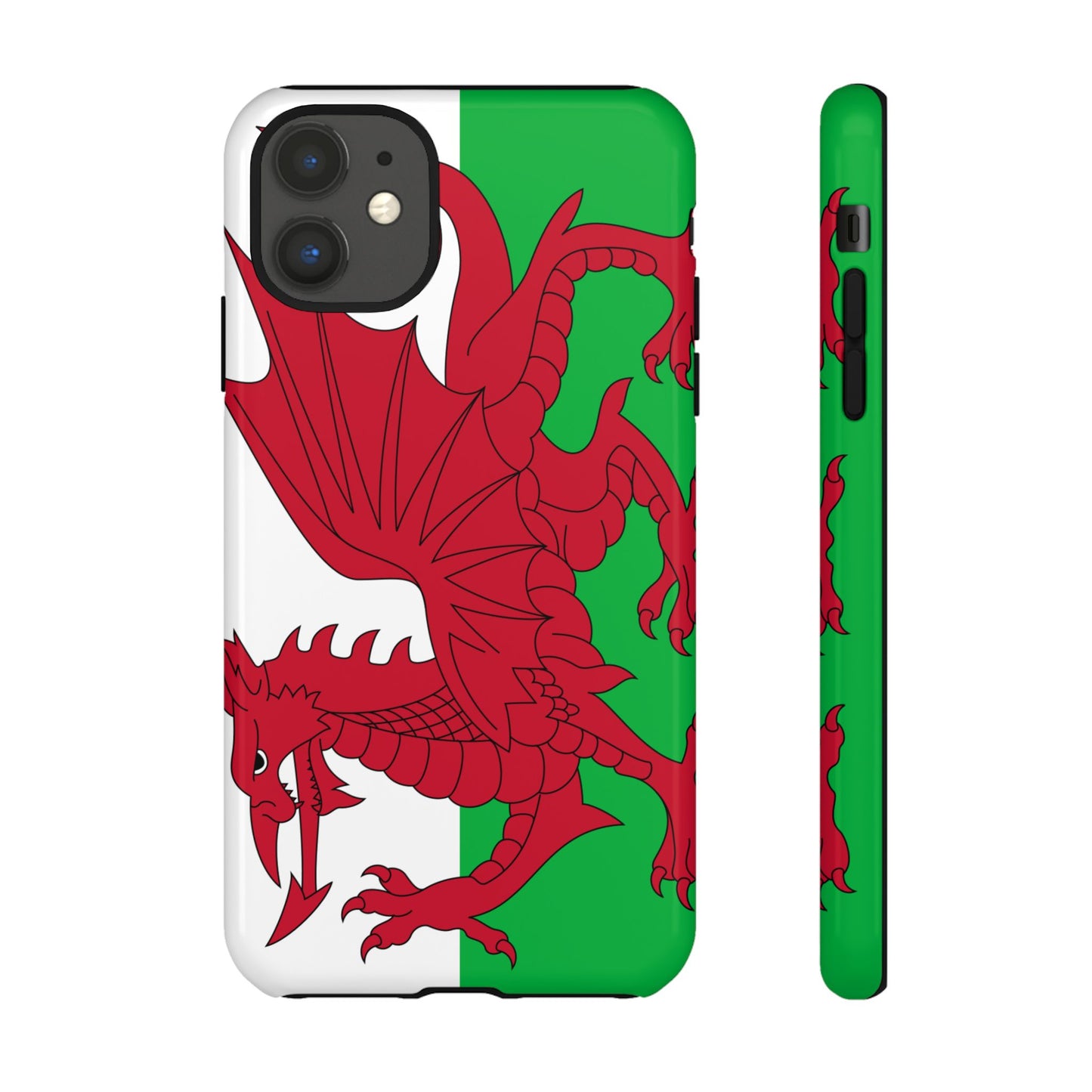 Wales Flag Case