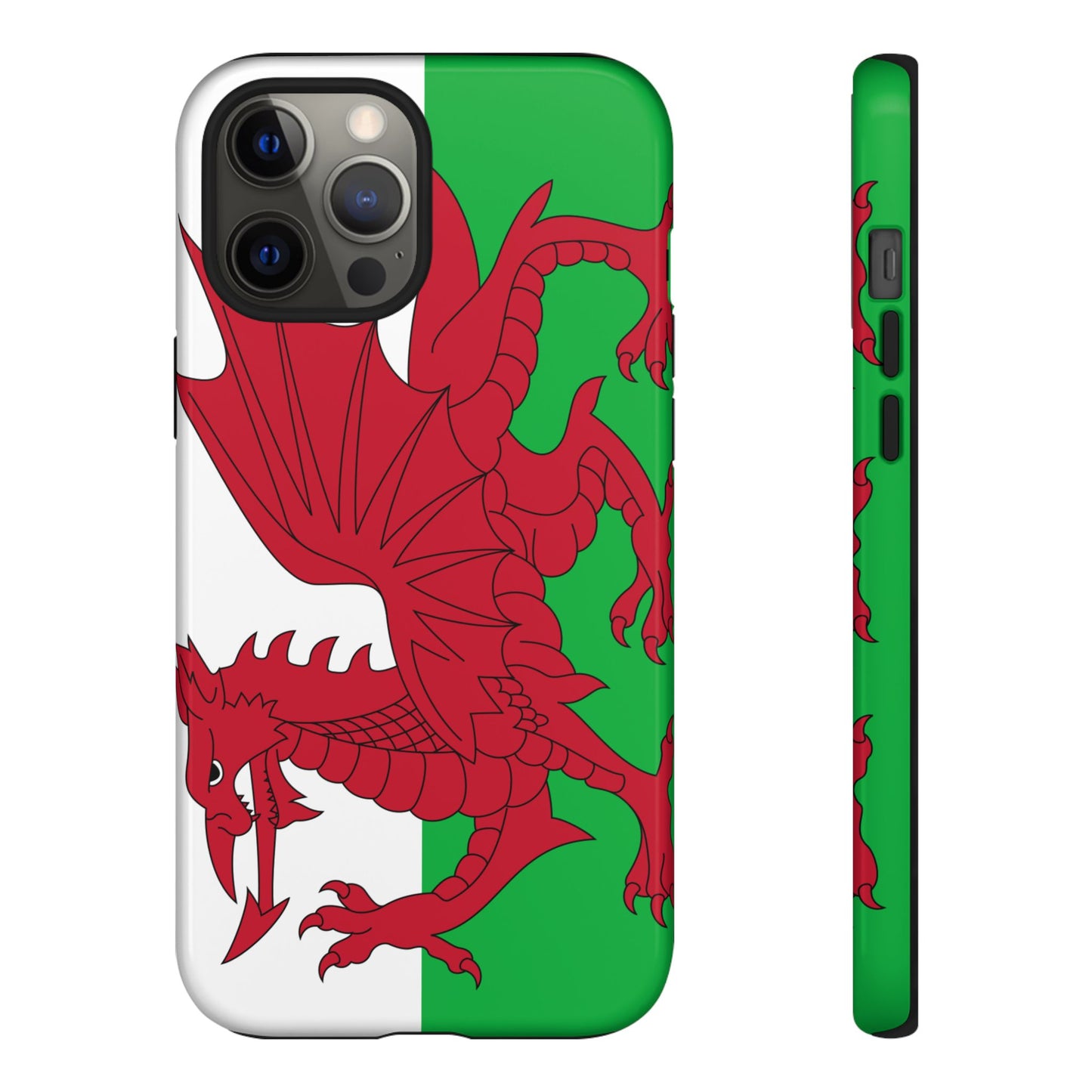 Wales Flag Case