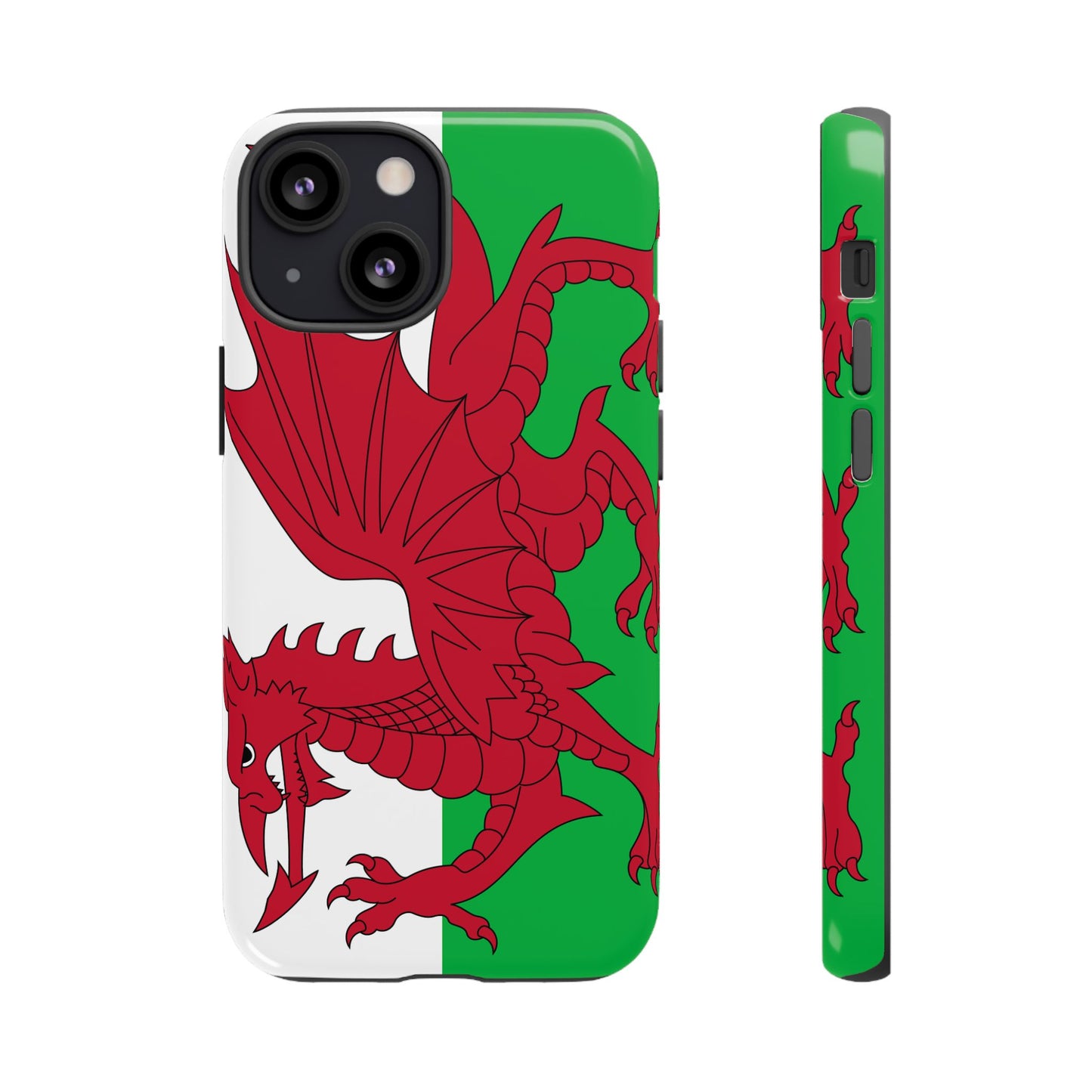 Wales Flag Case