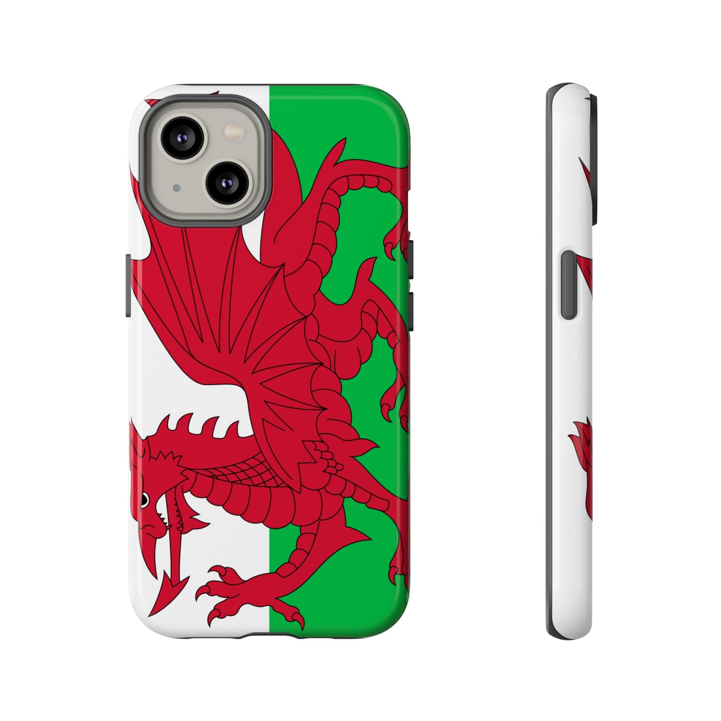 Wales Flag Case