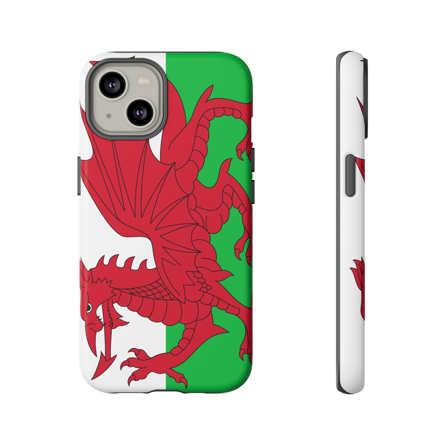 Wales Flag Case