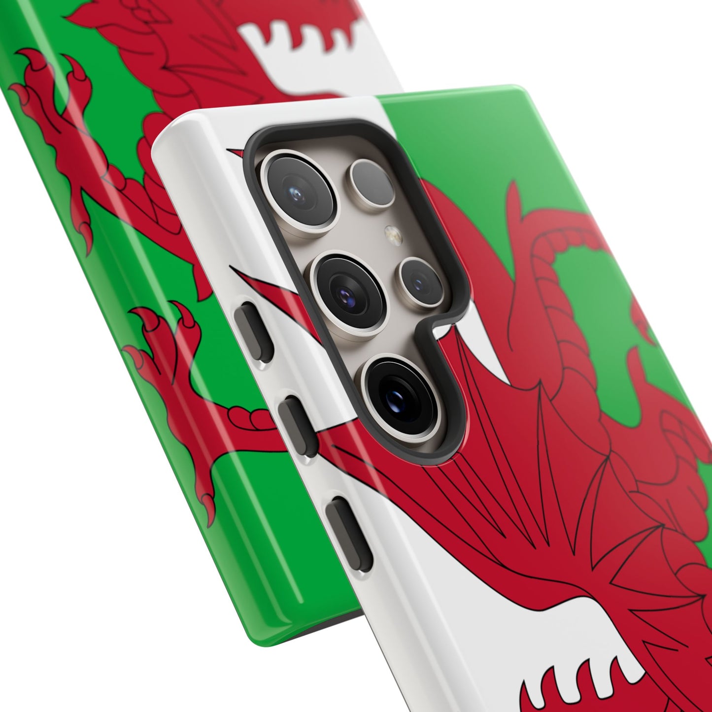 Wales Flag Case
