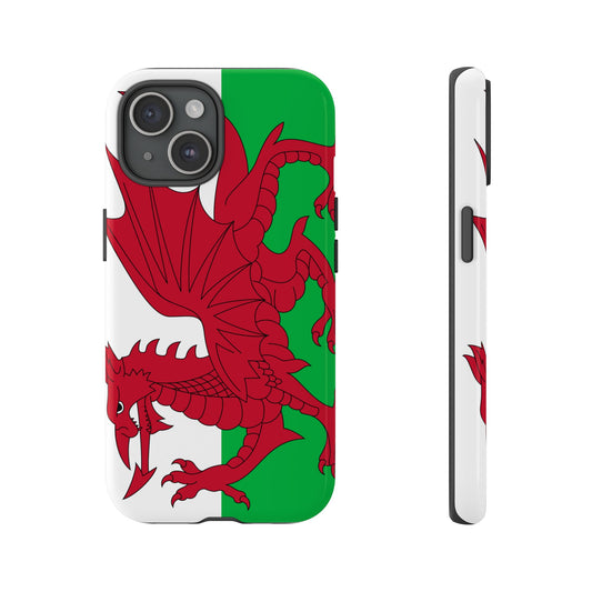 Wales Flag Case