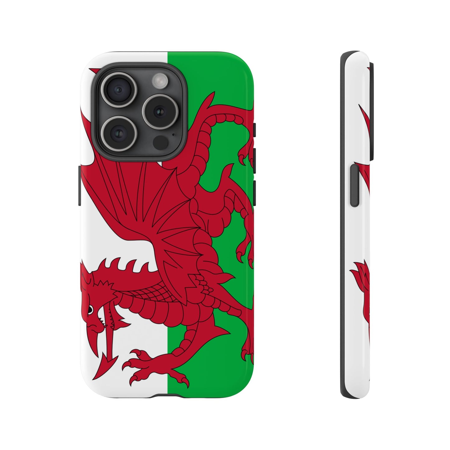 Wales Flag Case