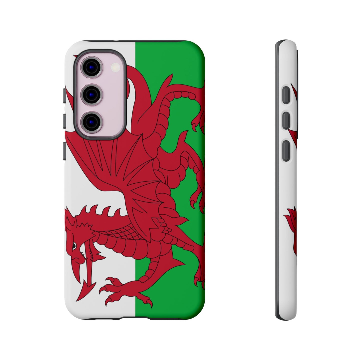 Wales Flag Case